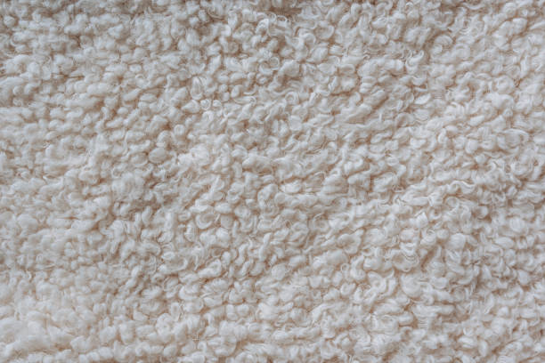 istock Beige curly wool seamless texture background. Warm cozy texture with short factory material. 1452107605