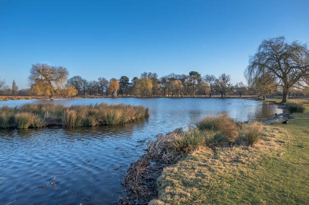 istock Clear blue sky over Heron pond in February 1452109066