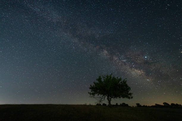 istock Night landscape with Milky Way 1452110851