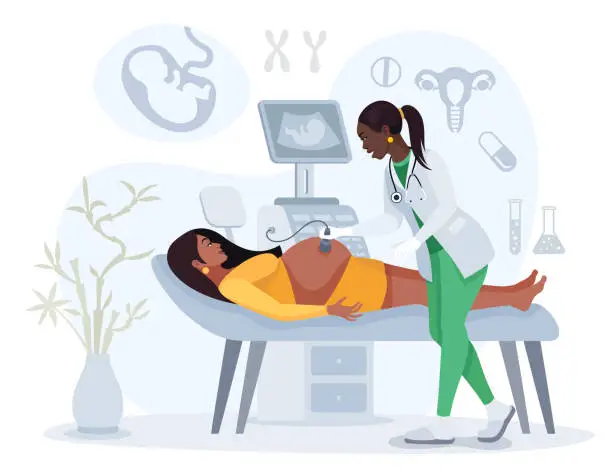 Vector illustration of Obstetrician using ultrasound scanner on pregnant woman.