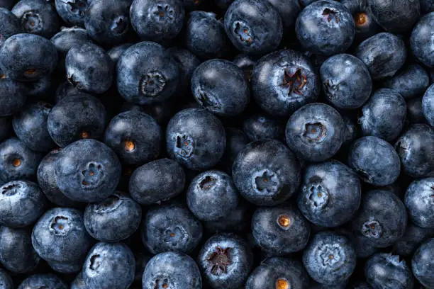 Fresh blueberries background. Texture of ripe juicy wildberries. Sweet blueberry for vegetarian desserts and vitamin vegan snacks. Natural antioxidant for healthy eating. Top view.