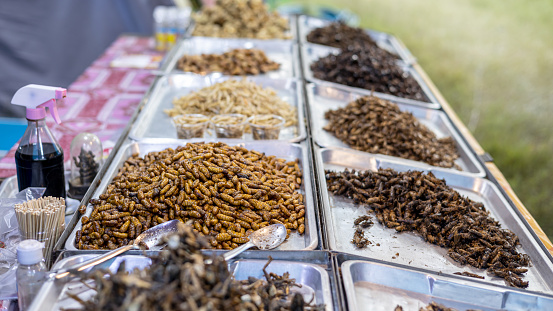 Massive amounts of various types of insects and worms piled up in stainless steel trays for sale at a flea market are popular health foods in rural Thailand.