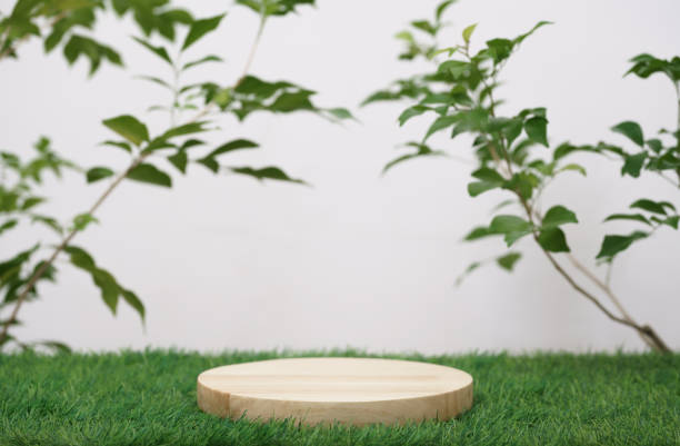 istock empty wooden podium texture on grass with tree branch fresh green leaf white space background.organic healthy natural product pedestal platform  promotion show display,spring banner concept design. 1452151477