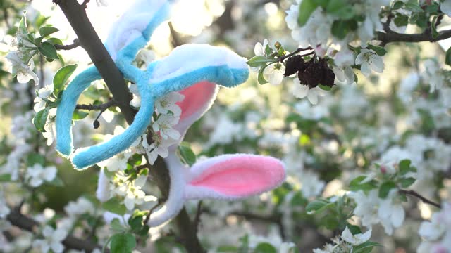 rabbit ears on flowering trees, Easter