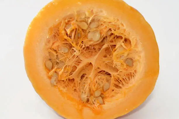 squash, pumpkin, or gourd, Cucurbita is a genus of herbaceous fruits in the gourd family, Cucurbitaceae, native to Andes and Mesoamerica, 5 edible species are grown, consumed for their flesh and seeds, selective focus