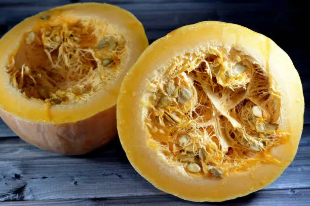 squash, pumpkin, or gourd, Cucurbita is a genus of herbaceous fruits in the gourd family, Cucurbitaceae, native to Andes and Mesoamerica, 5 edible species are grown, consumed for their flesh and seeds, selective focus