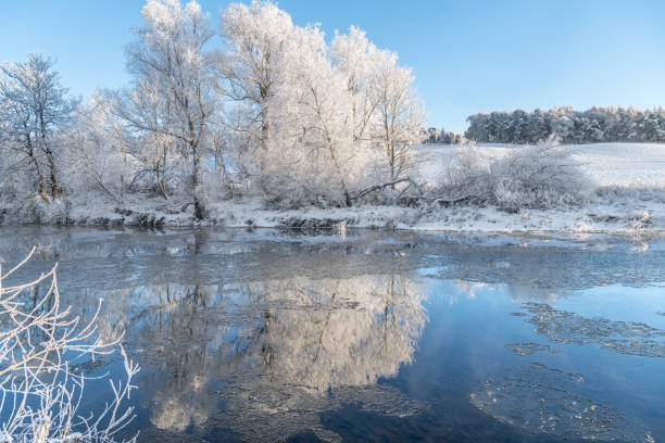 istock Ice and frost on trees and the River Teviot 1452196917