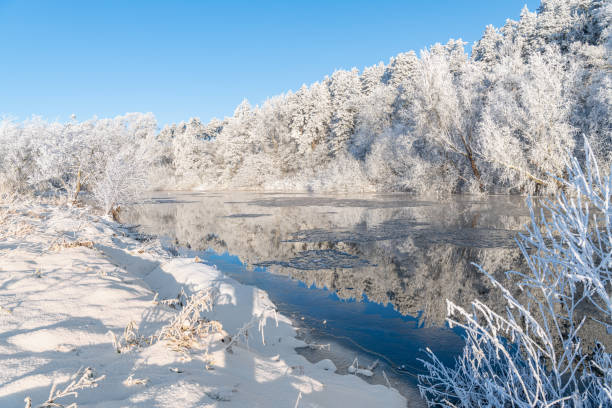 istock Reflections of snow covered trees in the River Teviot, Scottish Borders, United Kingdom 1452196965