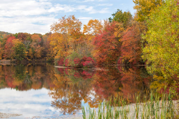 istock Hidden Lake in Autumn 1452197304