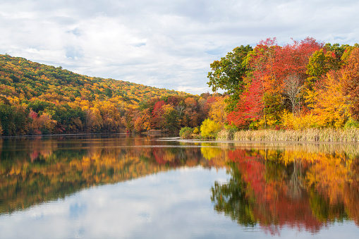 Fall colors at Hidden Lake, Delaware Water Gap National Recreation Area, Pennsylvania, USA