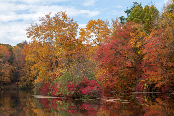 istock Hidden Lake in Autumn 1452197310