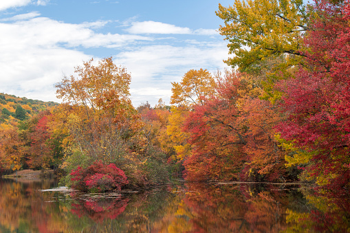 Fall colors at Hidden Lake, Delaware Water Gap National Recreation Area, Pennsylvania, USA