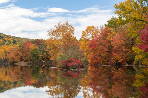 istock Hidden Lake in Autumn 1452197398