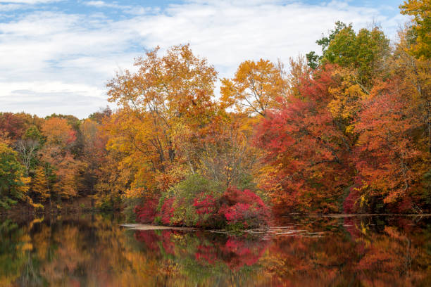 istock Hidden Lake in Autumn 1452197427