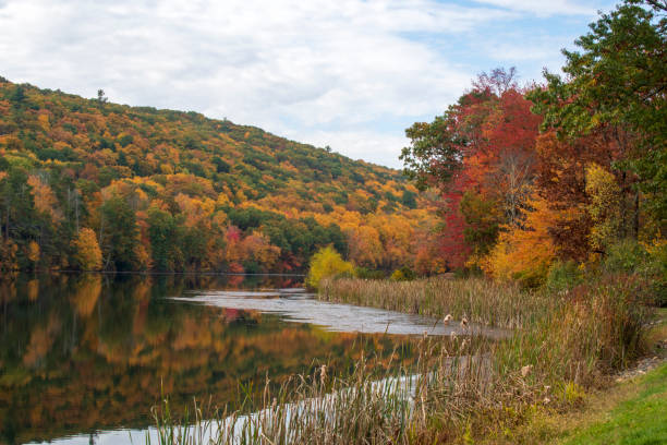 istock Hidden Lake in Autumn 1452197471