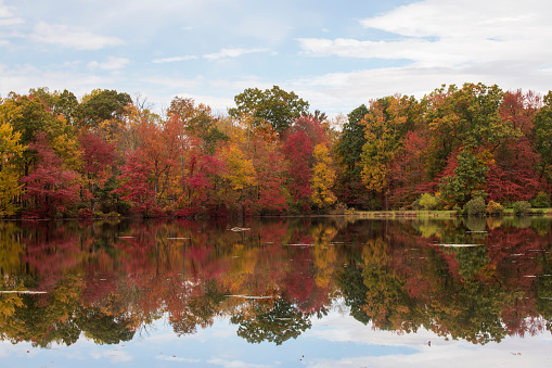 Hidden Lake in Autumn, Delaware Water Gap National Recreation Area, Pennsylvania, USA