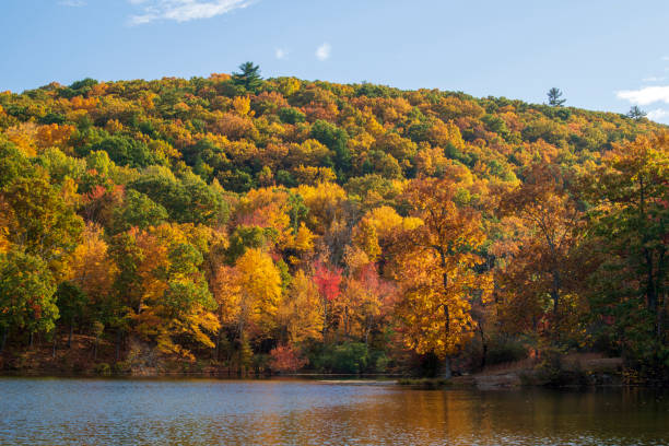 istock Hidden Lake in Autumn 1452198217