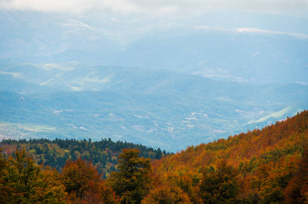 istock Pollino Mount, Gods' Garden, Basilicata Italy 1452199398