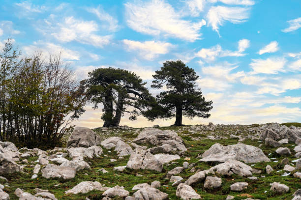 nature sceneries inside Gods' Garden during an autumnal day, Poteza, Italy