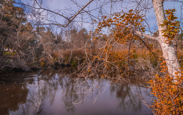 istock The autumn colors. 1452204210