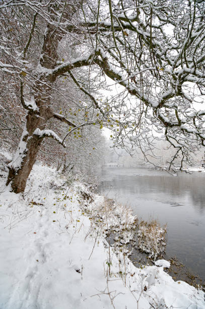 istock Snow covered footpath alongside the Teviot River in the Scottish Borders 1452205536