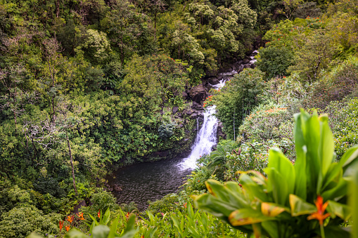 Maui Waterfalls