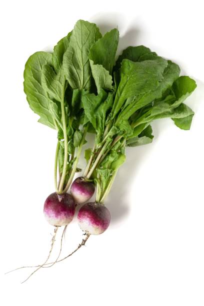 istock Vertical shot of raw Radish isolated on a white background 1452211272