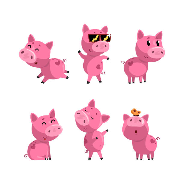 Set Of Cute Pink Pigs In Various Poses Funny Farm Baby Animals Cartoon  Characters Vector Illustration Stock Illustration - Download Image Now -  iStock