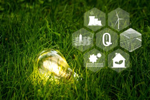 istock Shining lightbulb among grasses and renewable energy source icons as a symbol of net zero carbon emission. 1452220405