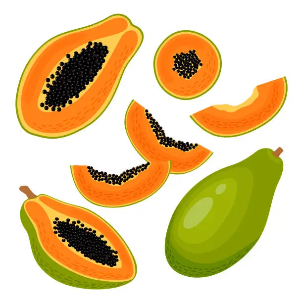 Vector illustration of Vector illustration of a set of ripe fresh papaya, fruit halves, pieces and slices. Fruit illustration in flat style isolated on white background.