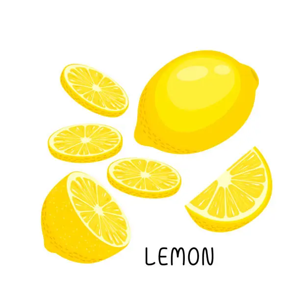 Vector illustration of Vector illustration of a set of ripe fresh lemons, fruit halves and pieces, leaves.