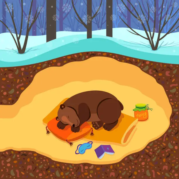 Vector illustration of Winter hibernation of a bear in a cozy den