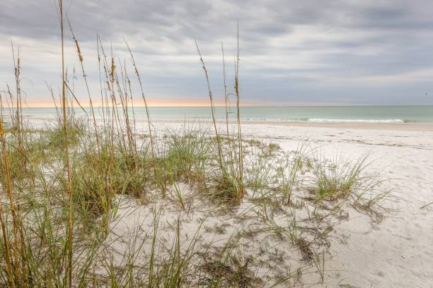Anna Maria Island pure white sand dunes on a cloudy day stock photo