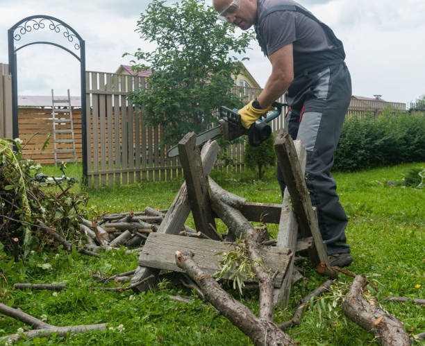 istock a man saws an old tree for firewood with an electric chain saw. 1452232725