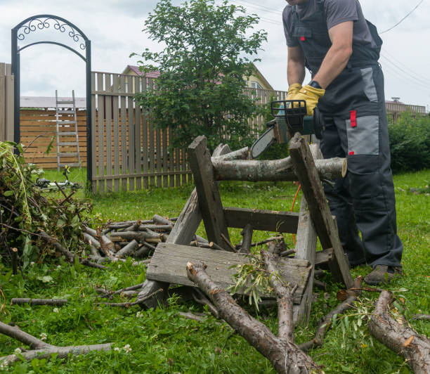 istock a man saws an old tree for firewood with an electric chain saw. 1452233477