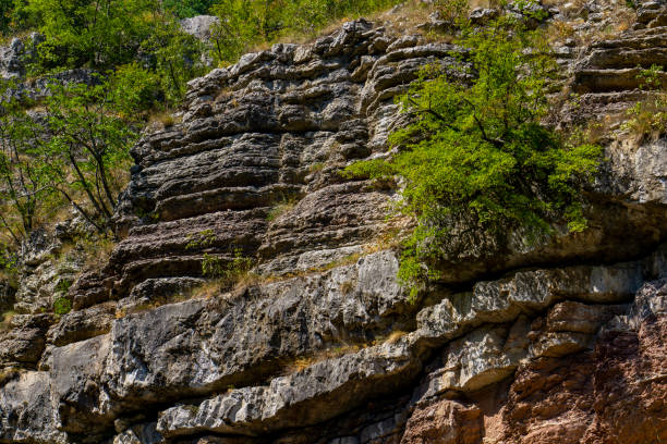 istock Geological formations at Boljetin river gorge in Eastern Serbia 1452235884