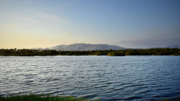Sunsun in the Lagoon