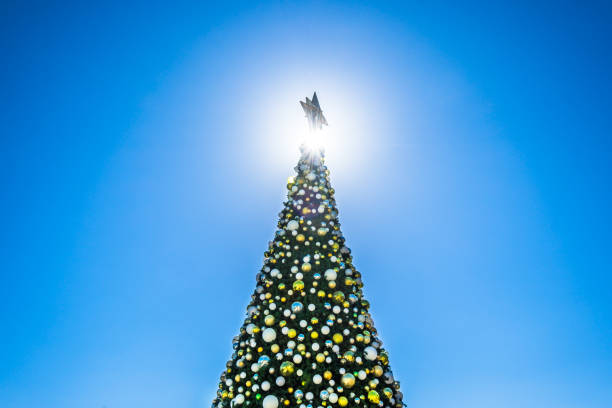istock Top of the Christmas Tree (2) 1452241516