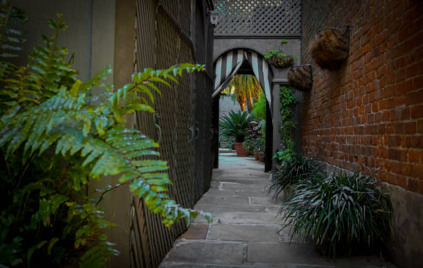 istock Fern Alley New Orleans 1452241570