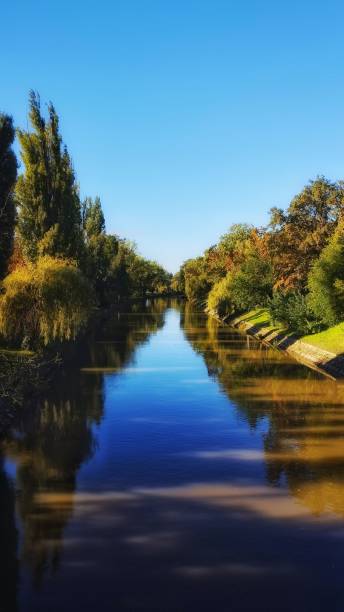 istock Vertical shot of autumn trees with reflection in a river between them 1452242318