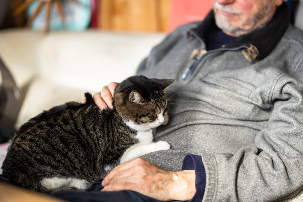 istock Senior man relaxing with cat on his lap 1452243192