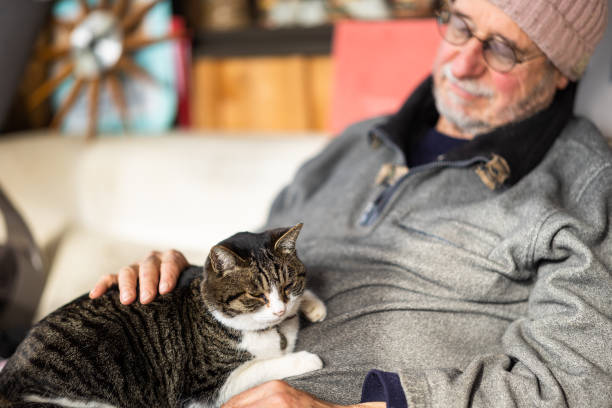 istock Senior man relaxing with cat on his lap 1452243200