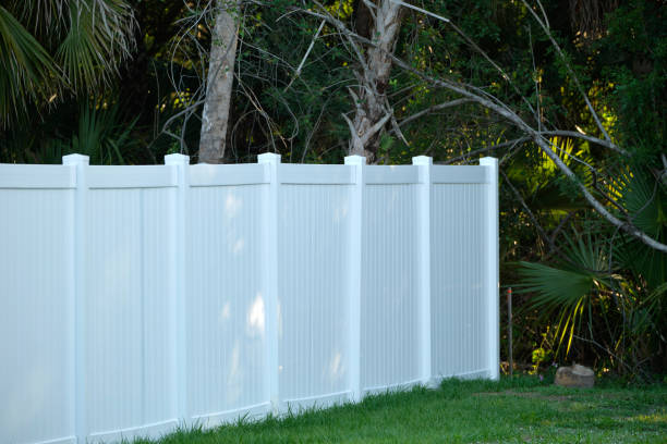 istock White plastic fence for back yard protection and privacy 1452245468