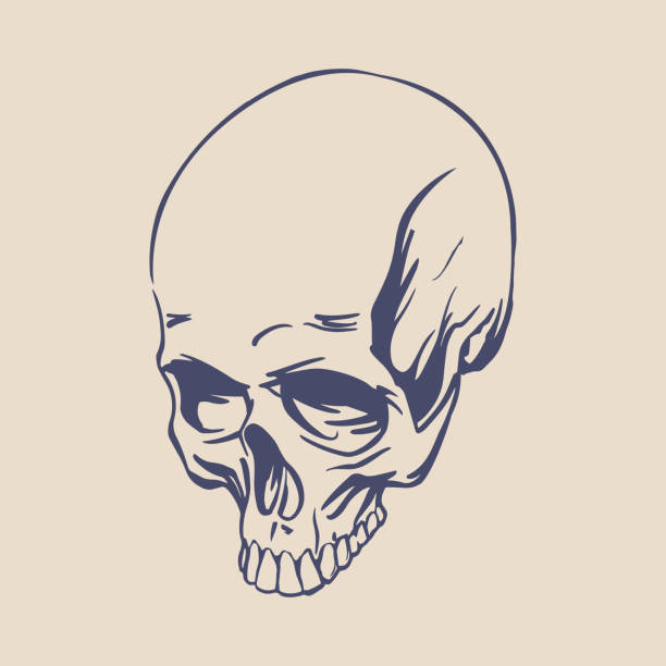 186 Realistic Skull Tattoo Illustrations & Clip Art - iStock
