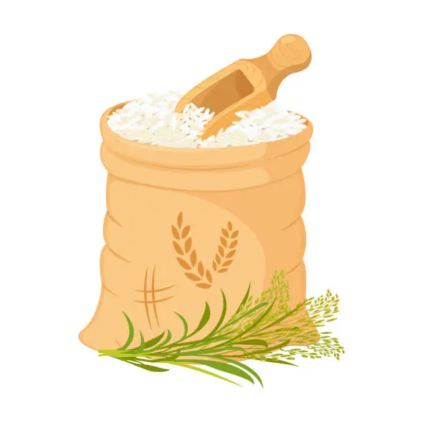 Vector illustration of Bag of rice with spatula. Grain harvest in open package. Vector illustration of basmati packaging design element
