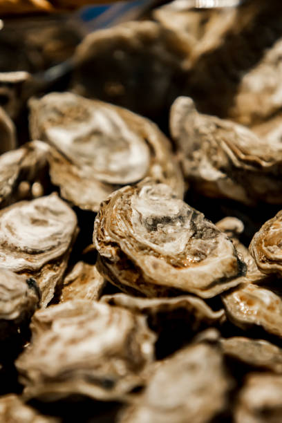 istock Fresh oystrers on the market 1452262451