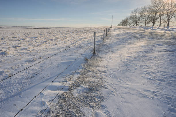 Winter landscape of a fence along a tree lined road in the Prairies, Alberta, Canada