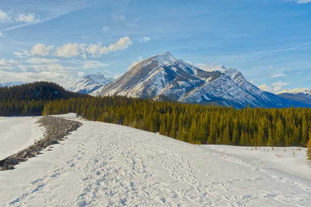 istock Tracks in the foreground towards Mount Indefatigable, Kananaskis, Canada 1452264052