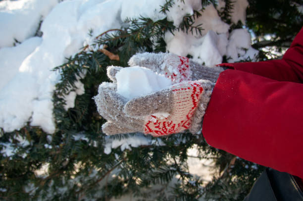 istock Woman making snowball 1452265609