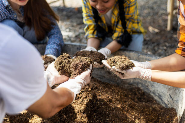 istock Happiness children study learning to prepare the soil before planting vegetables. 1452281143